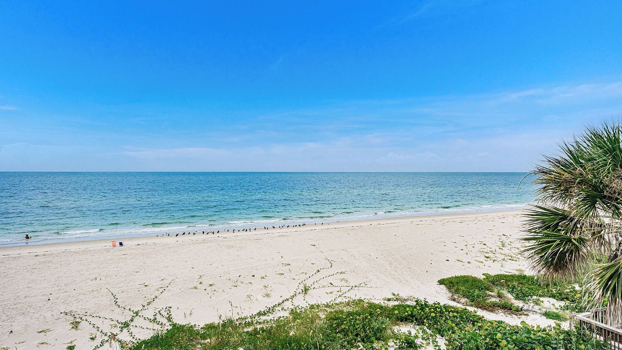 Photo of Others in Belleair Beach