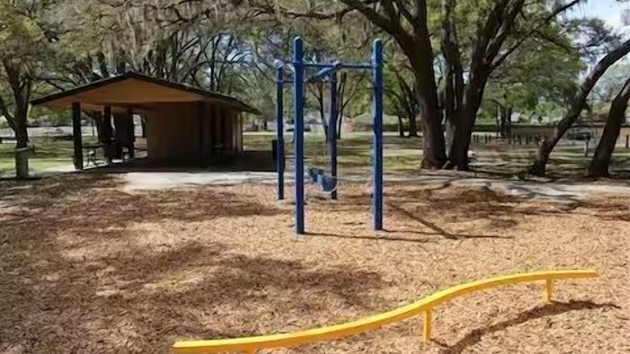 Photo of Others in Carrollwood