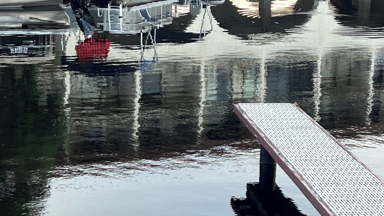 Photo of Others in Palm Harbor