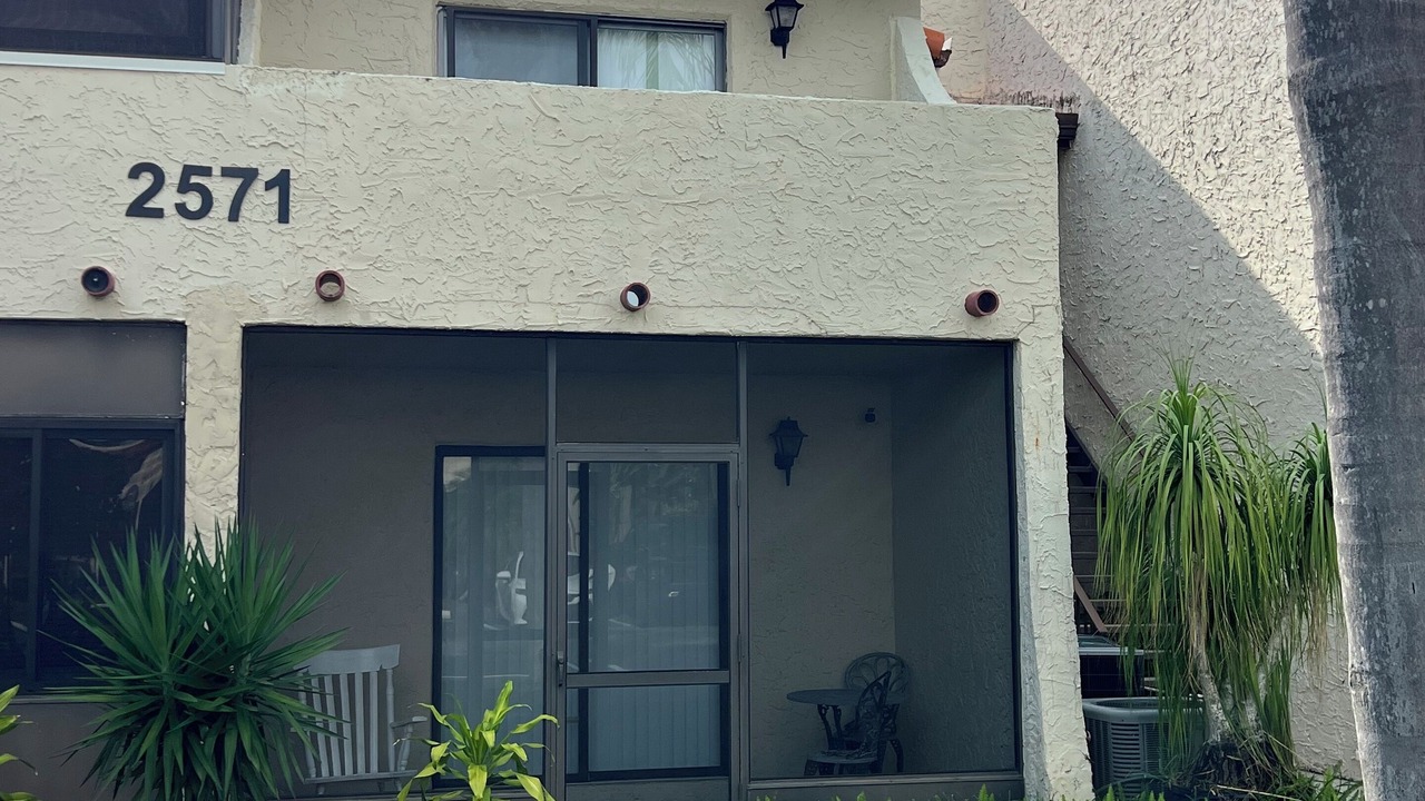 Photo of Outdoor in Palm Harbor