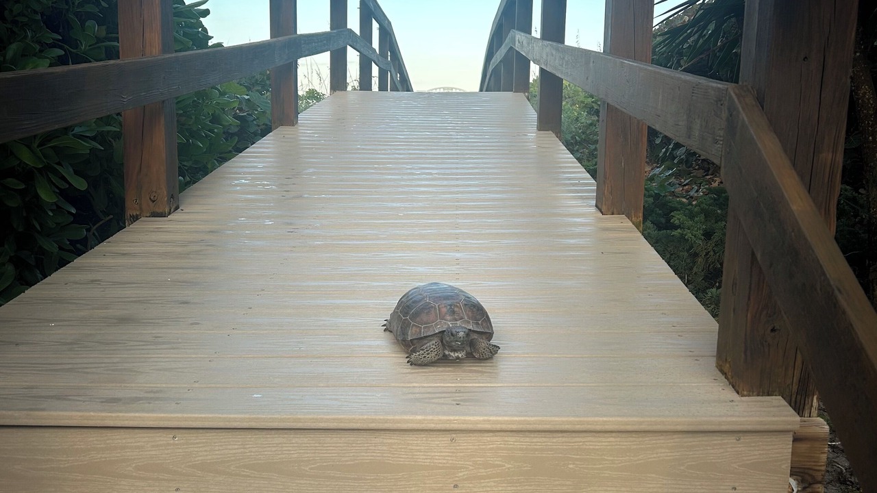 Photo of Outdoor in Central Beach