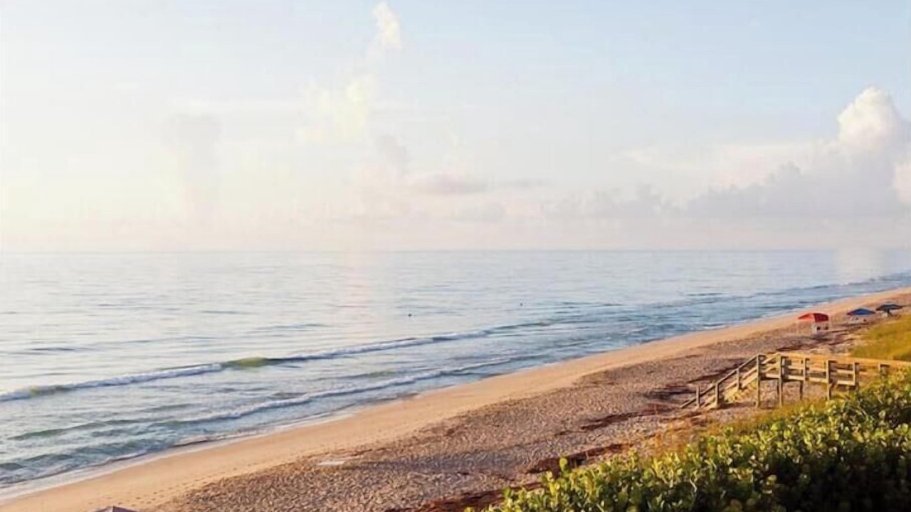 Photo of Others in Hutchinson Island South