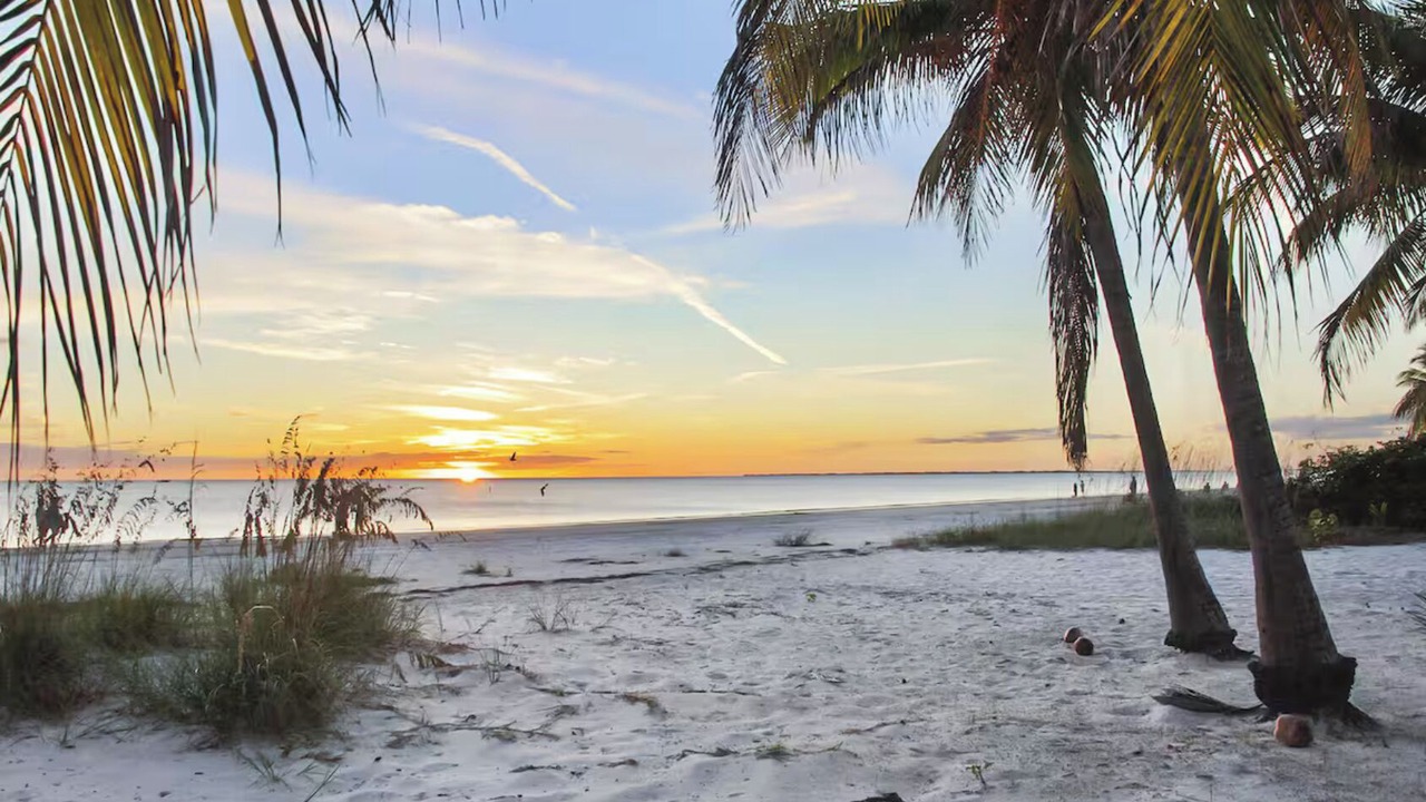 Photo of Others in Fort Myers Beach