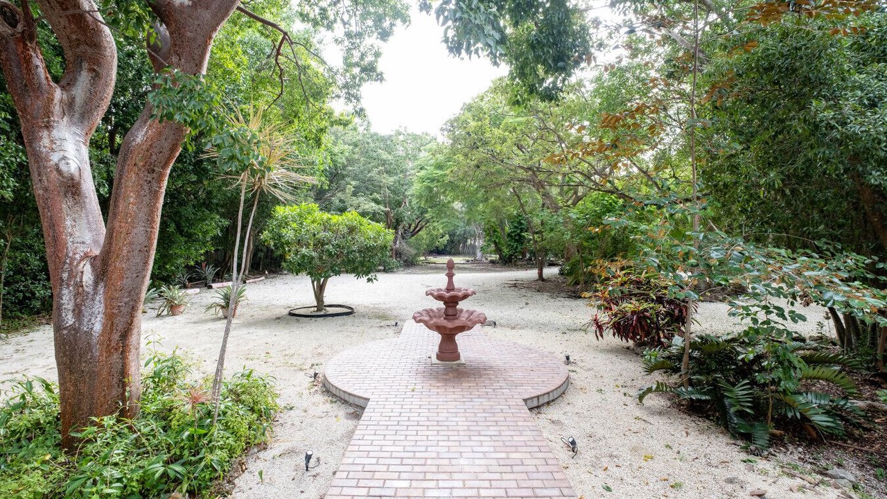 Photo of Outdoor in Key Largo