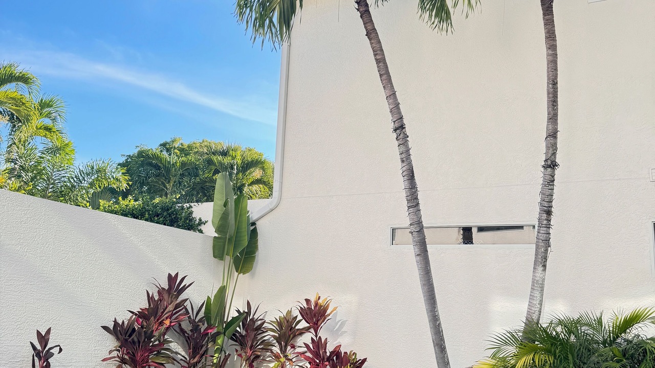 Photo of Outdoor in Old Naples