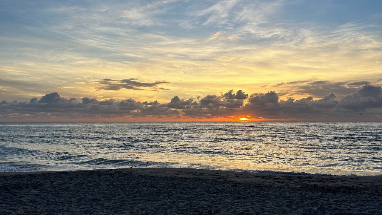 Photo of Others in Hobe Sound