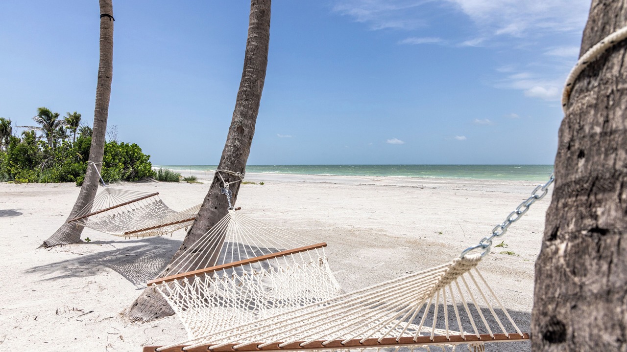Photo of Others in Captiva