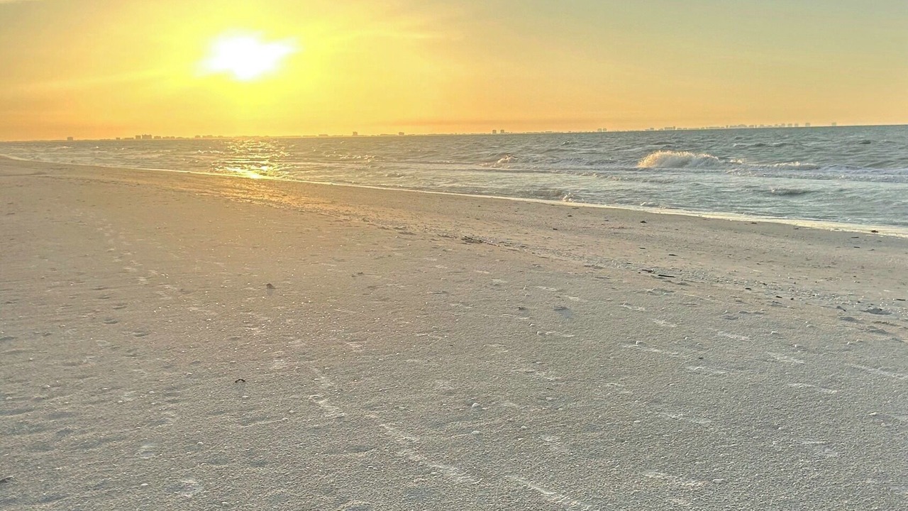 Photo of Others in Sanibel