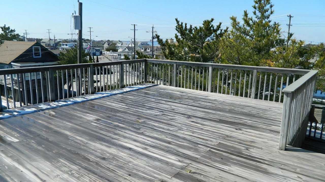 Photo of Others in Harvey Cedars