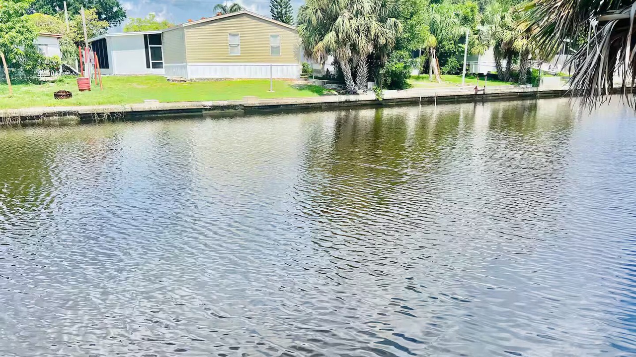 Photo of Others in Tampa