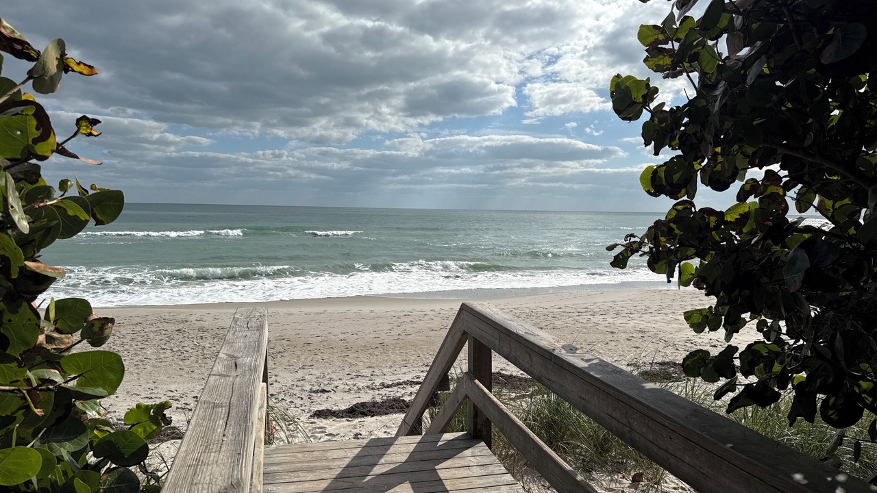 Photo of Others in South Patrick Shores