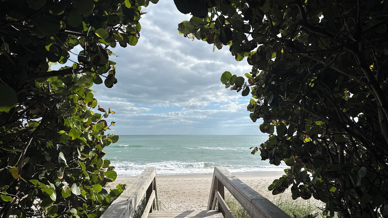 Photo of Others in South Patrick Shores
