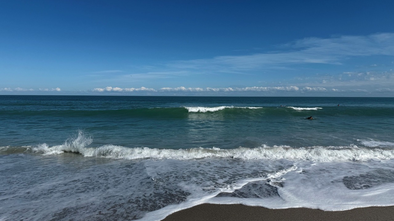 Photo of Others in South Patrick Shores