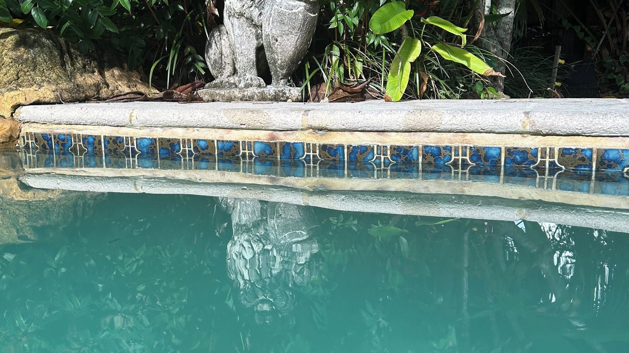 Photo of Outdoor in Palmetto Bay