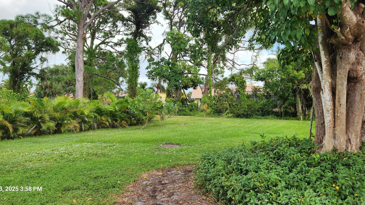 Photo of Outdoor in Laurel