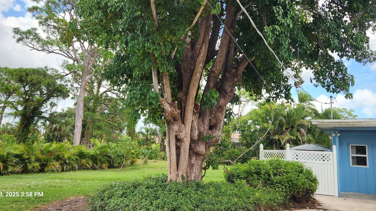 Photo of Outdoor in Laurel