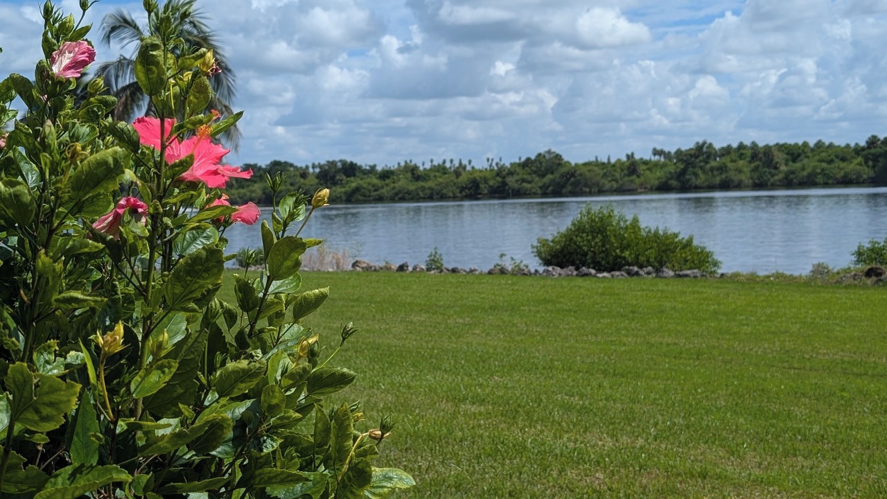 Photo of Others in North Fort Myers