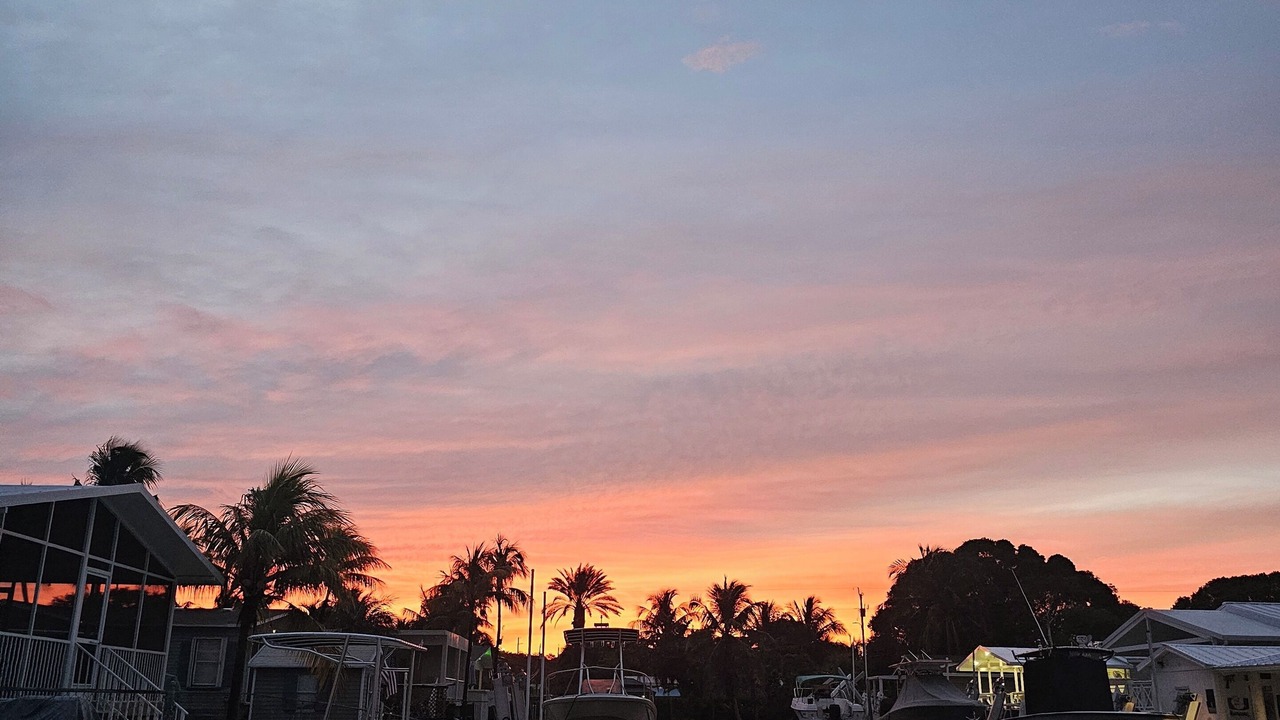 Photo of Others in Key Largo