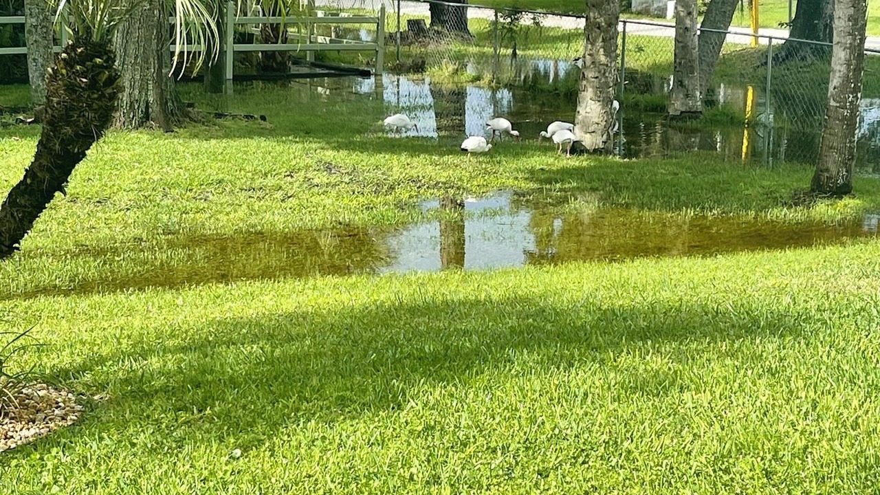 Photo of Outdoor in Laurel