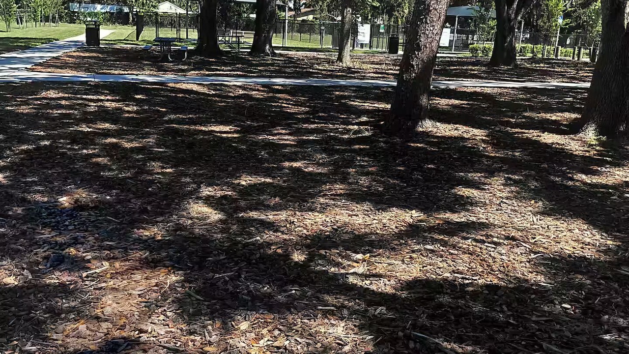 Photo of Outdoor in Gibsonton