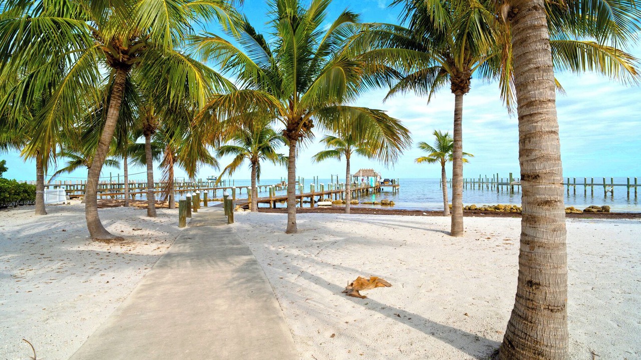 Photo of Others in Tavernier