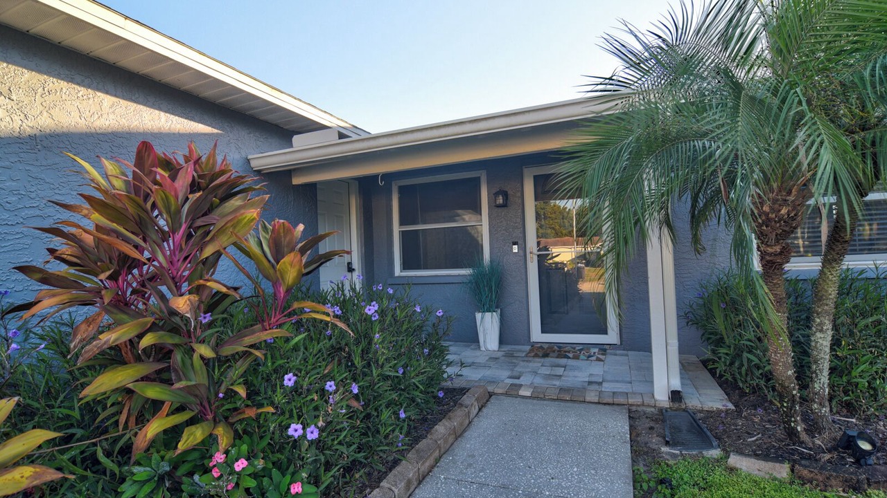 Photo of Outdoor in Pinellas Park