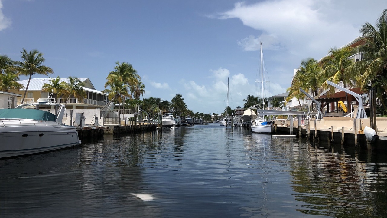 Photo of Others in Key Largo