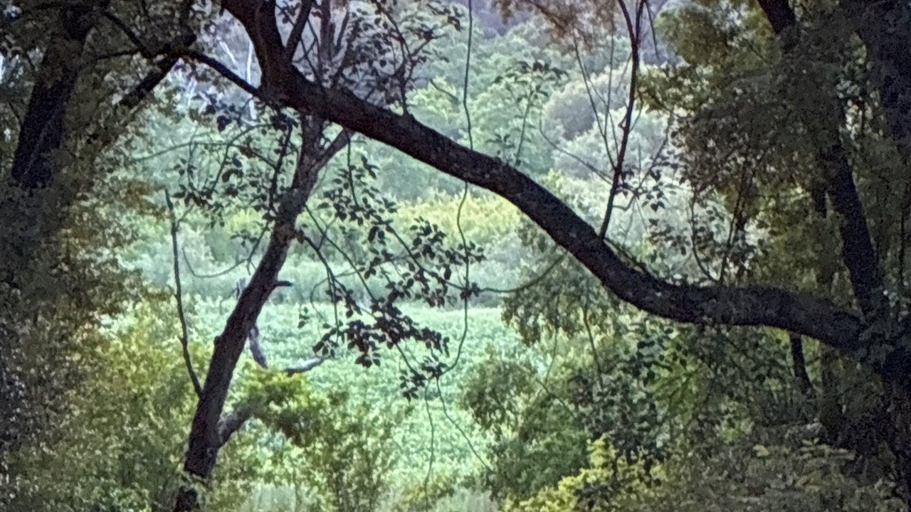 Photo of Others in Fairvilla