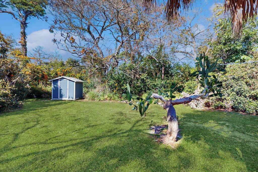 Photo of Outdoor in Alta Vista