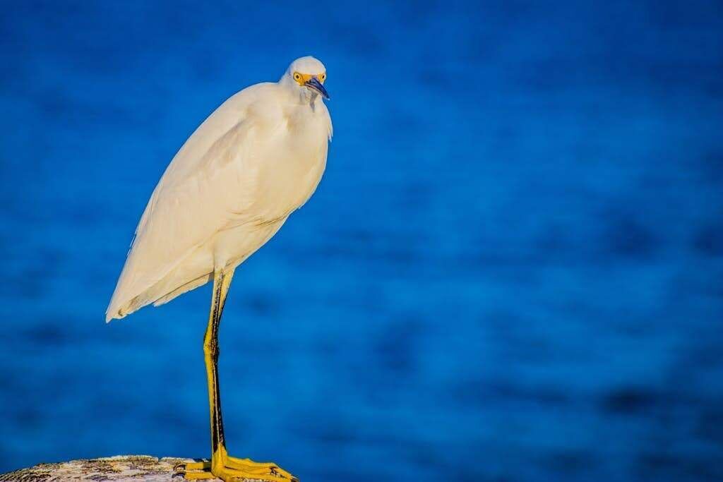 Photo of Others in Holmes Beach