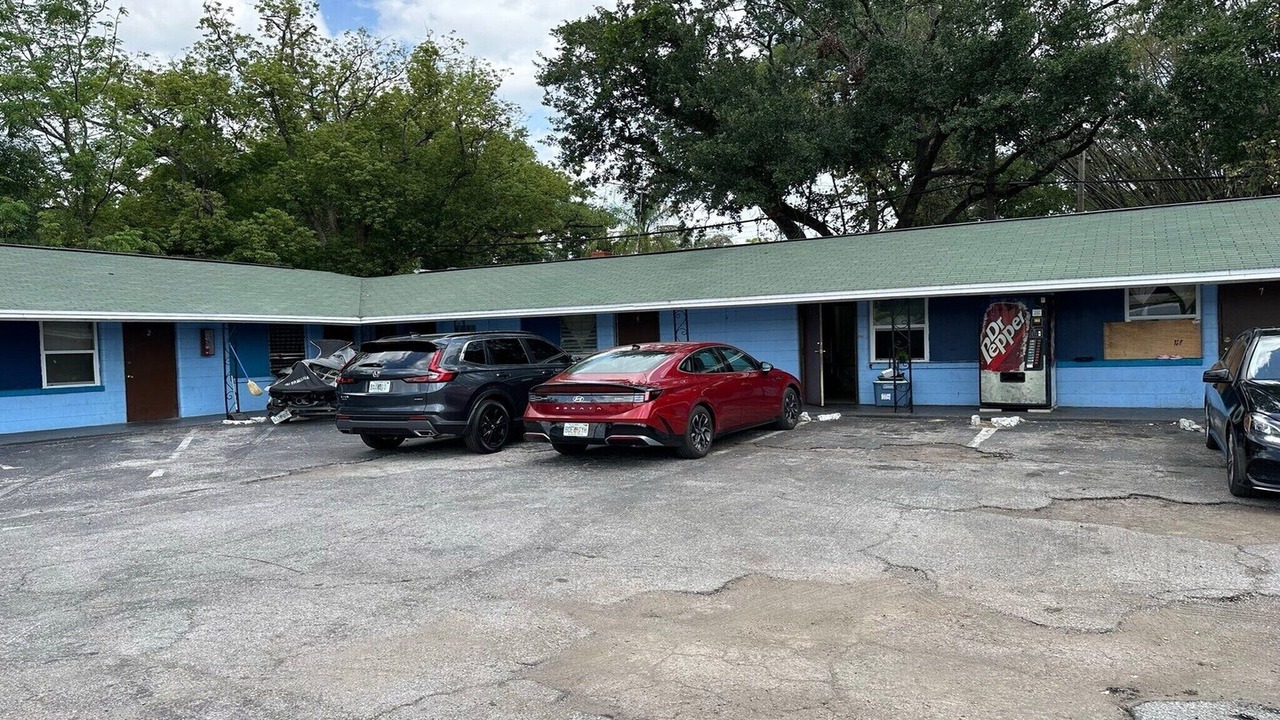 Photo of Outdoor in Old Seminole Heights