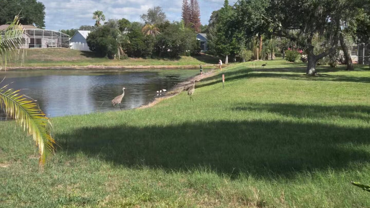 Photo of Outdoor in Sunridge Woods