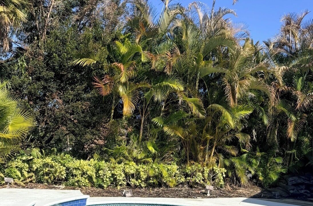 Photo of Outdoor in Jupiter