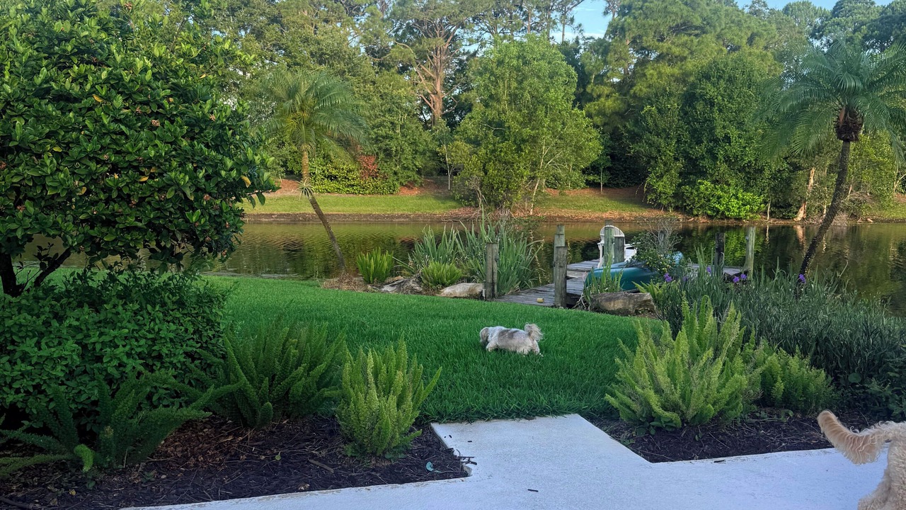 Photo of Outdoor in Jupiter