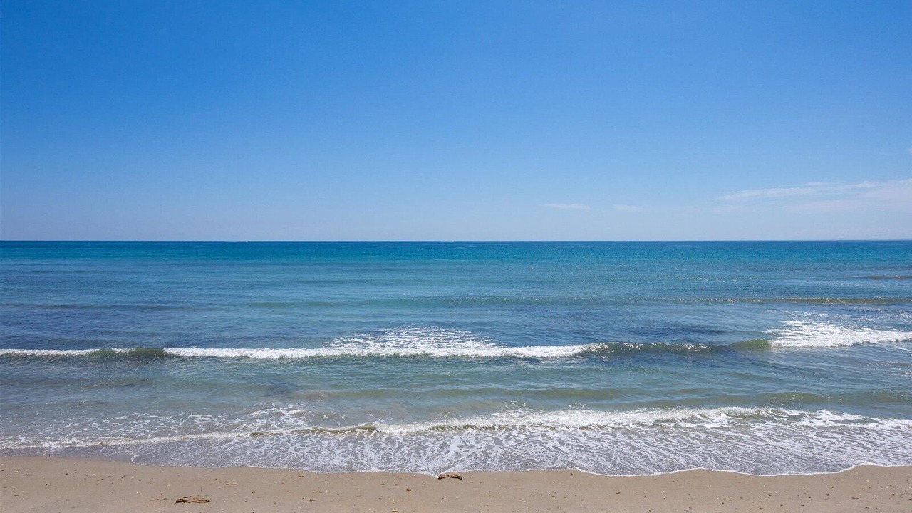 Photo of Others in Hutchinson Island South