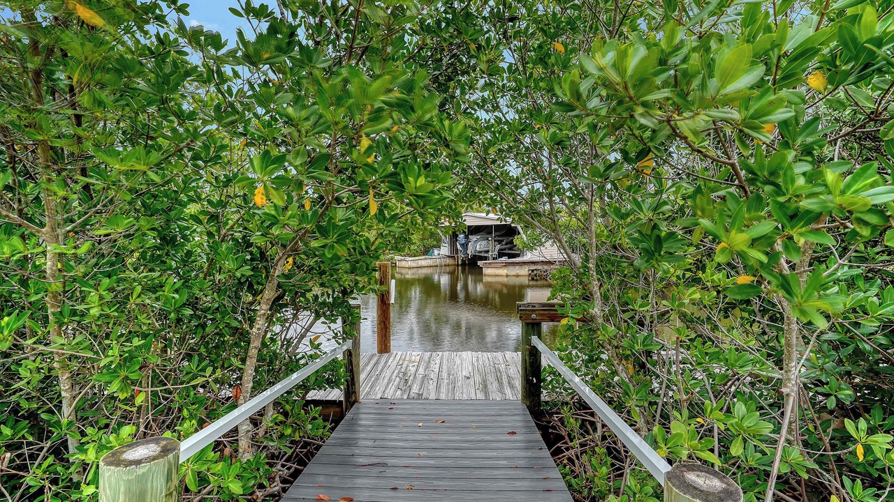 Photo of Outdoor in Cortez