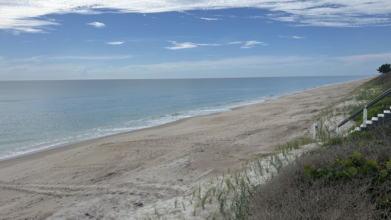 Photo of Others in Melbourne Beach