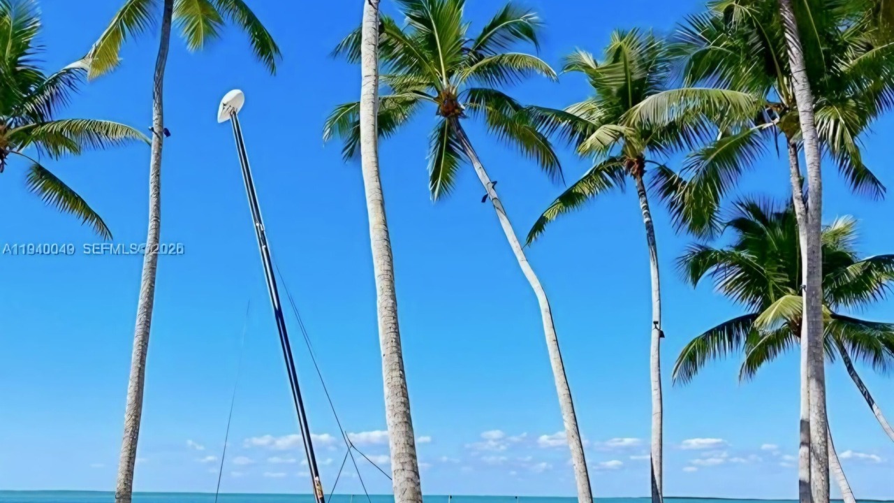 Photo of Others in Key Largo