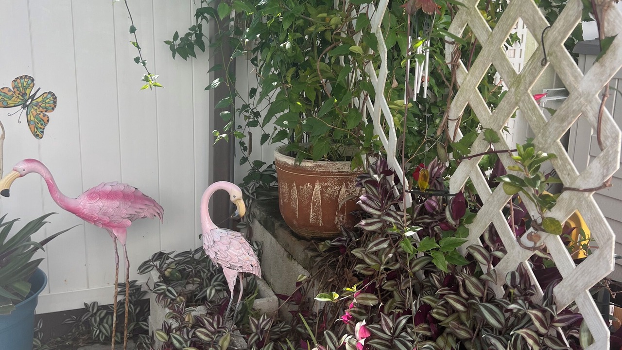 Photo of Outdoor in North Naples
