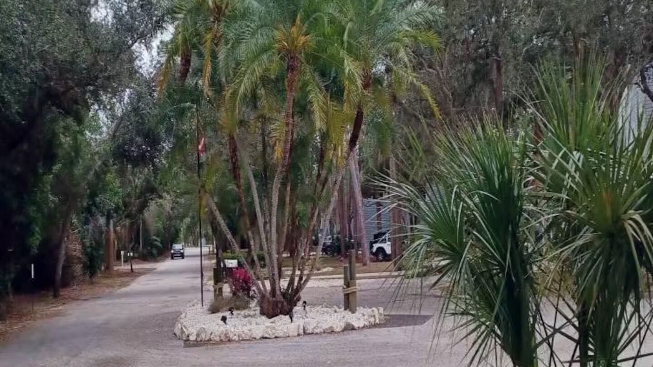 Photo of Outdoor in Ozona