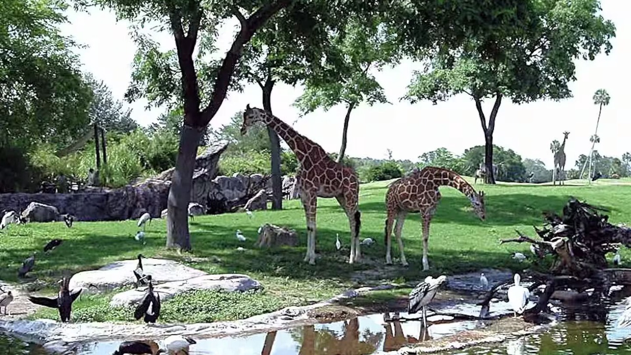 Photo of Others in Ozona