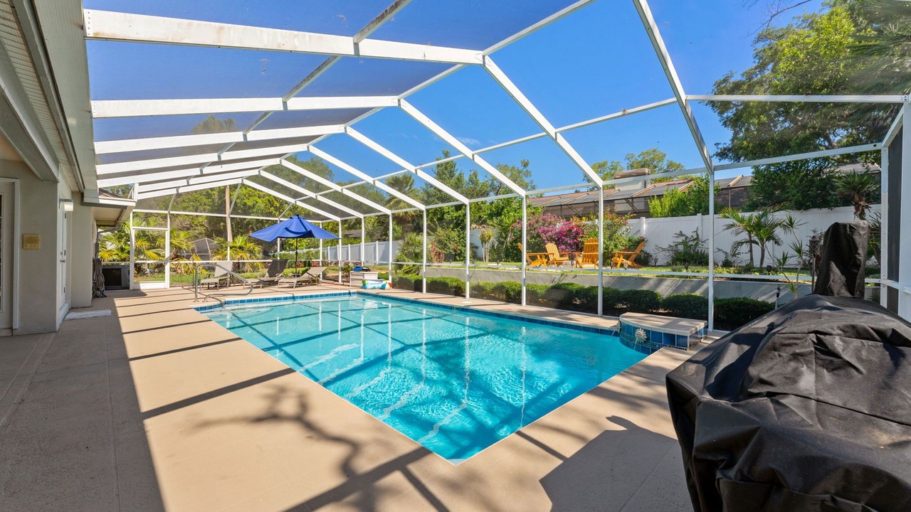 Photo of Outdoor in Palm Harbor