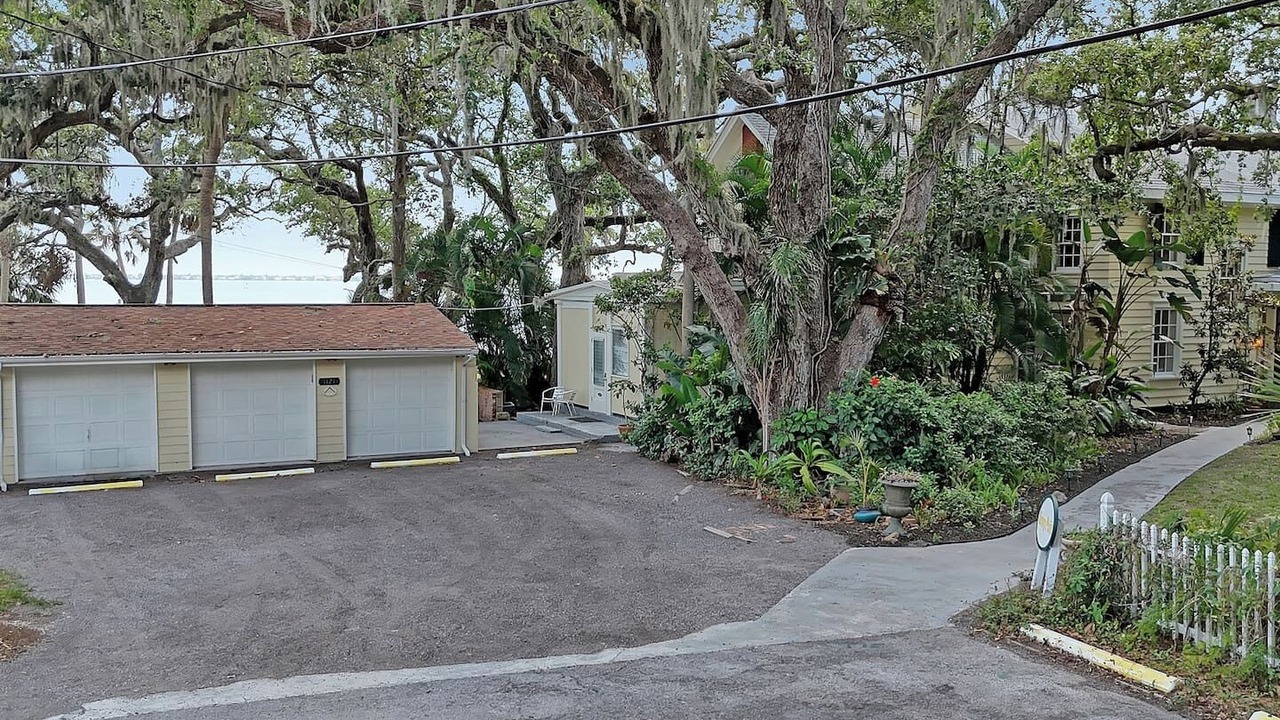 Photo of Outdoor in Tropic