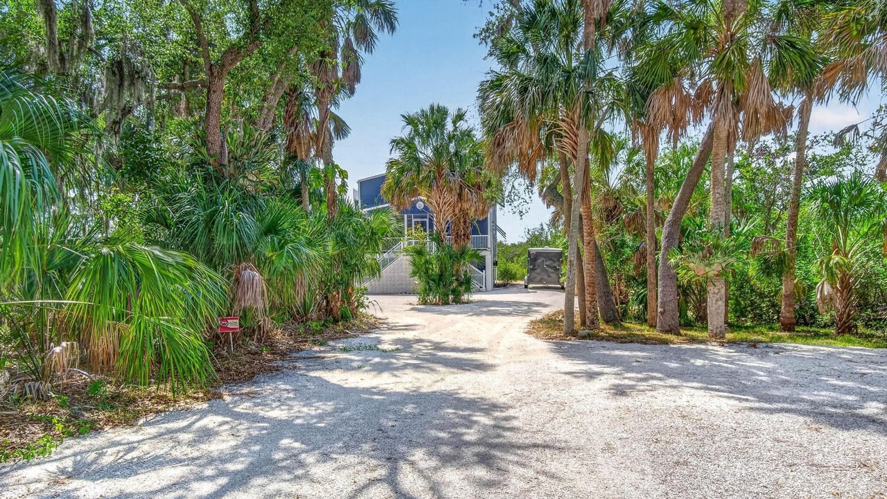 Photo of Outdoor in Palmetto