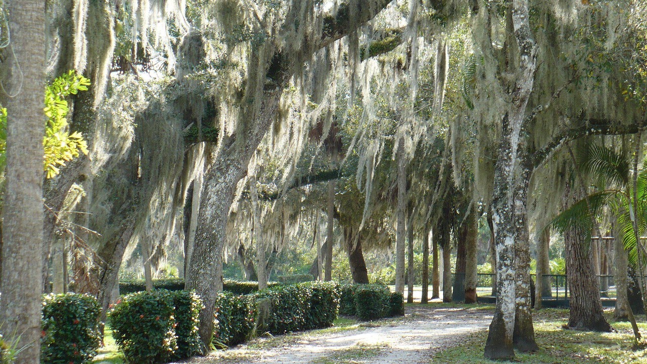 Photo of Outdoor in Fort Pierce