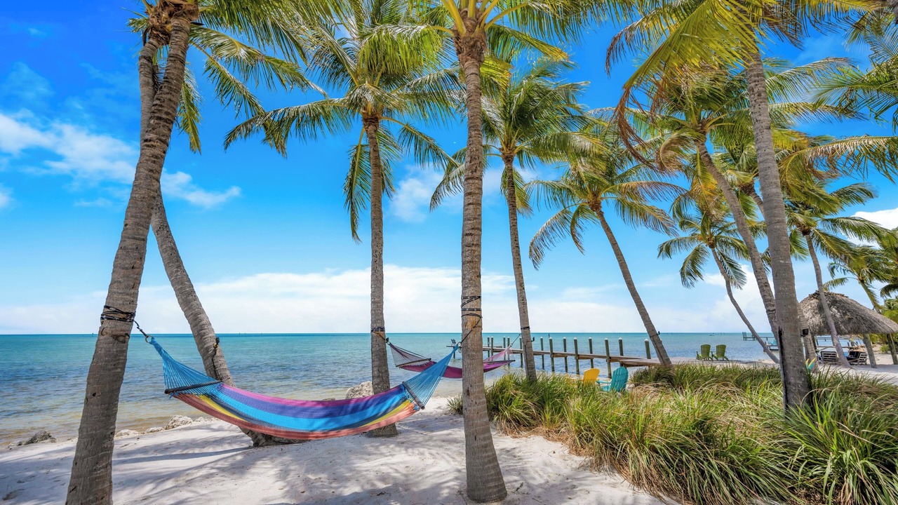 Photo of Others in Islamorada