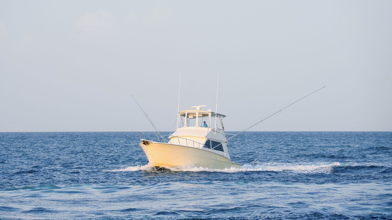 Photo of Others in Key Largo