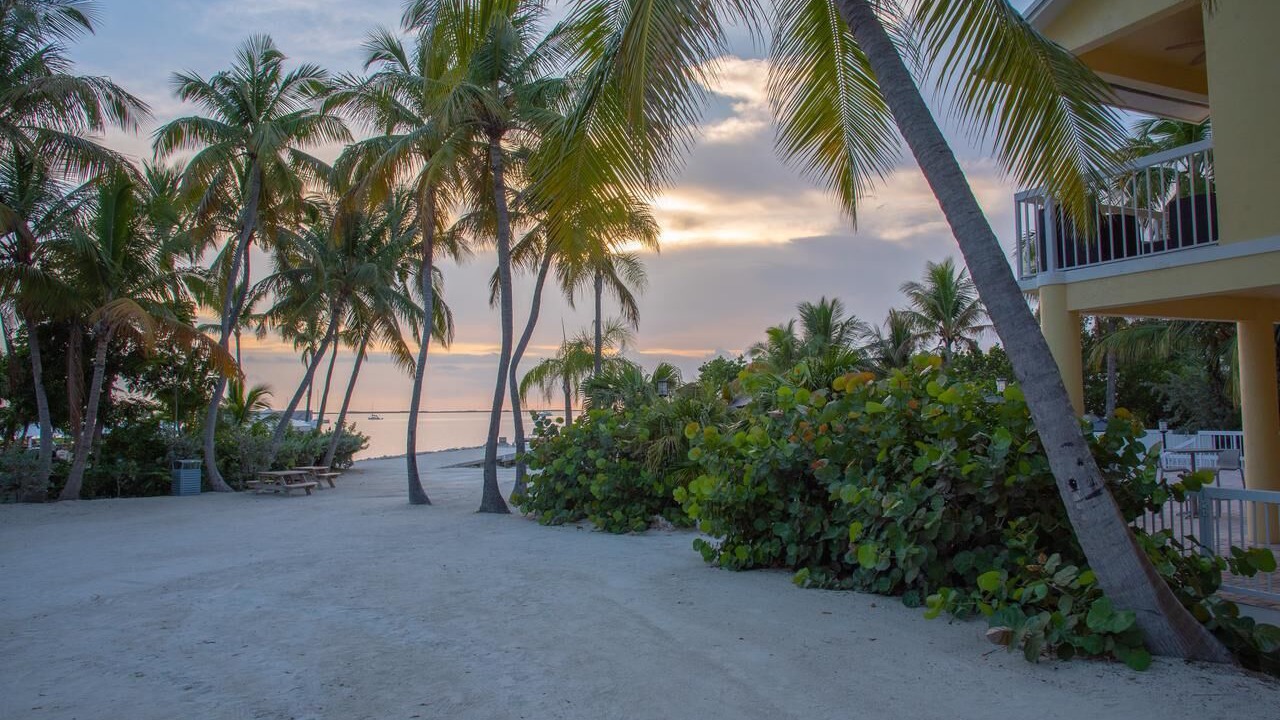 Photo of Others in Key Largo
