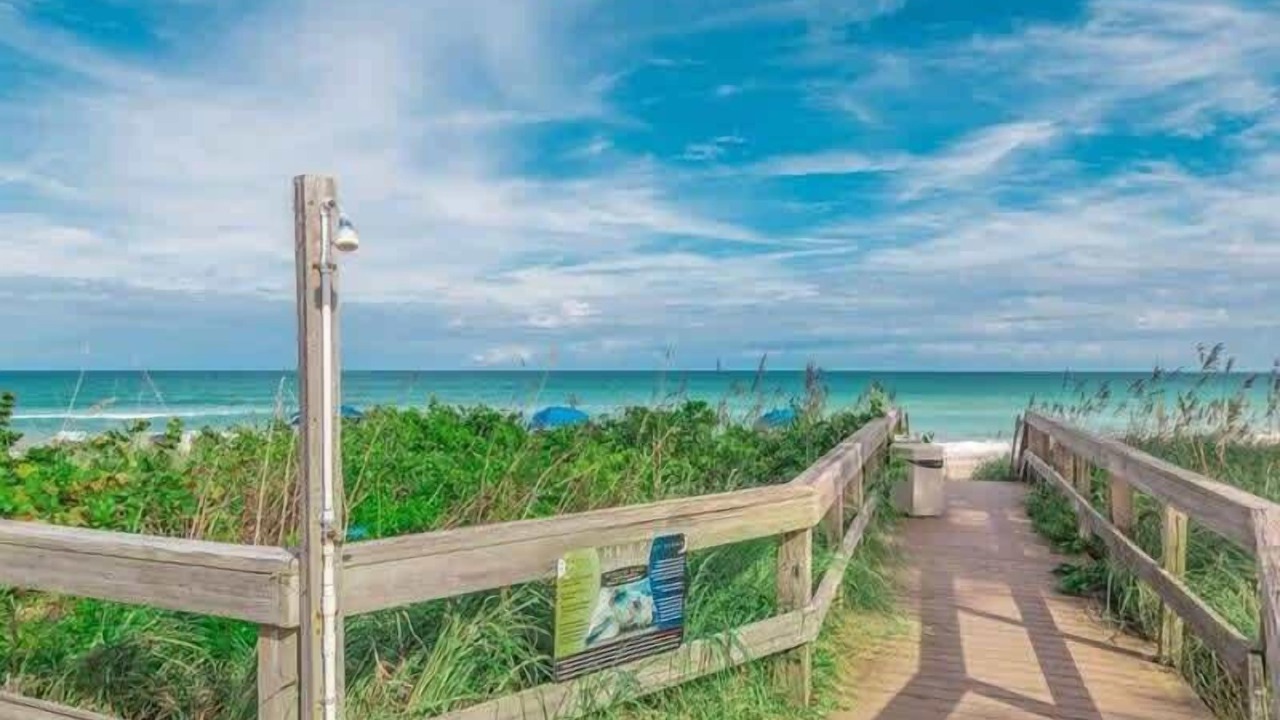 Photo of Others in Hutchinson Island South