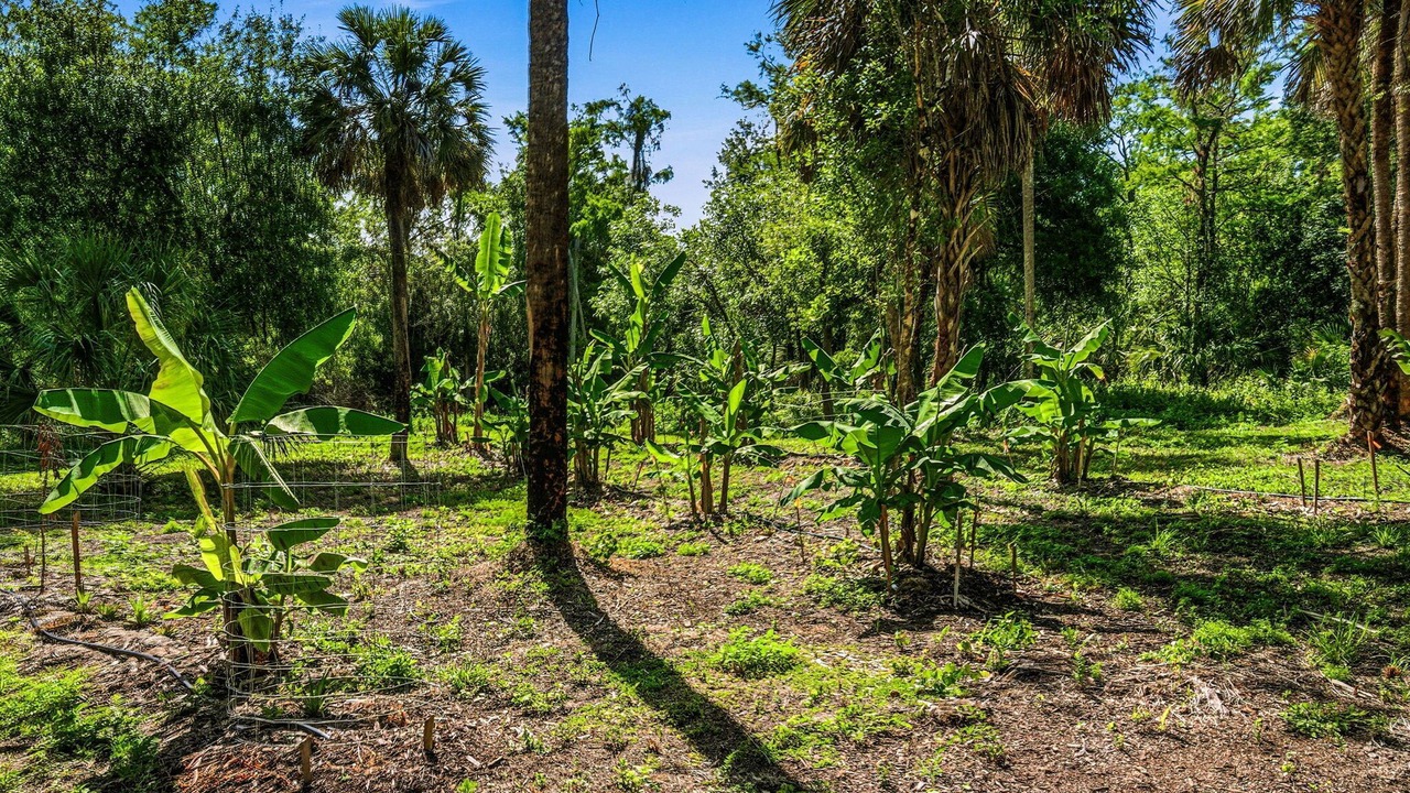 Photo of Outdoor in Rural Estates
